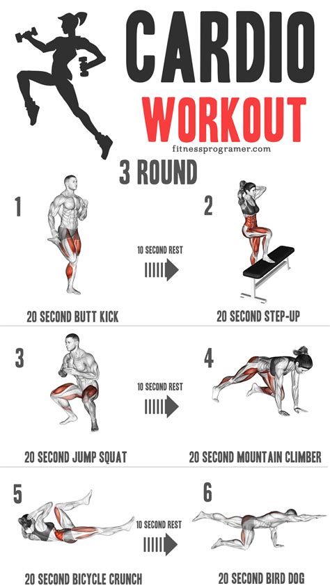 Cardio Workouts and Exercises for All Fitness Levels .